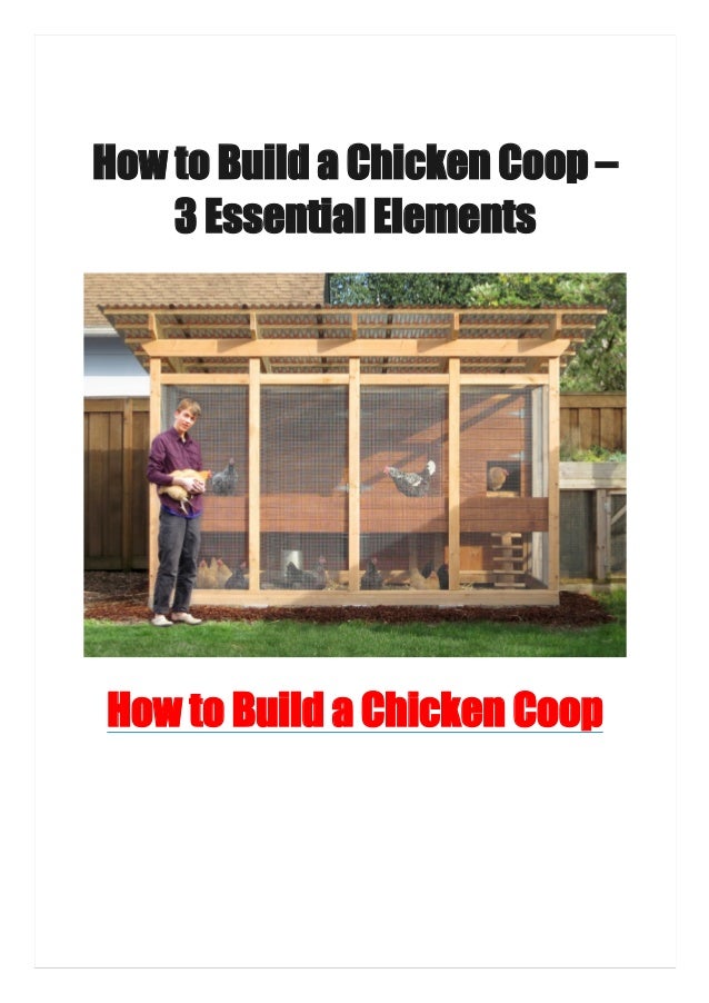 How to Build a Chicken Coop 3 Essential Elements