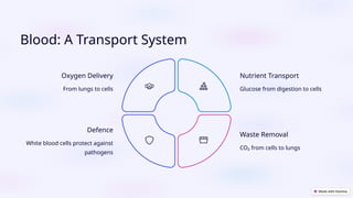 Comprehensive Overview of Blood: The Body's Vital Transport System | PPTX