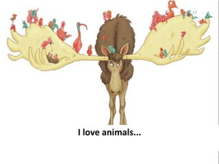 I love animals...
 