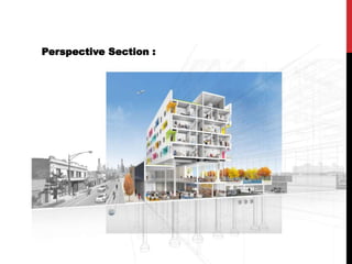 Perspective Section :
 
