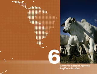 6
Comércio Exterior Agrícola
Regiões e Estados
 