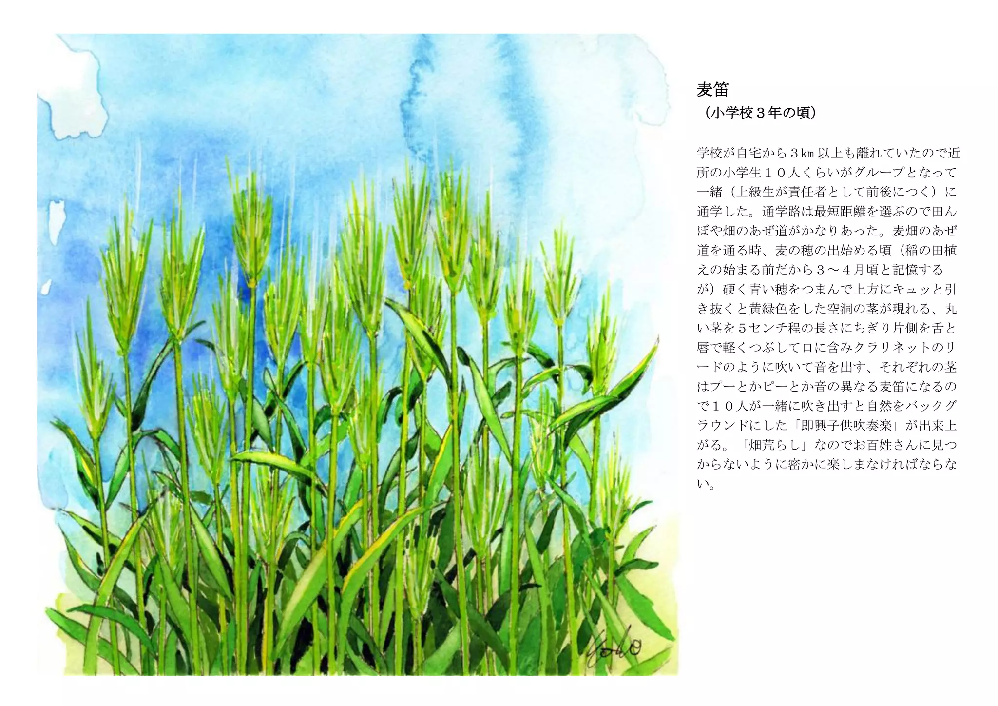 Yoshi's Watercolour Diary | PDF