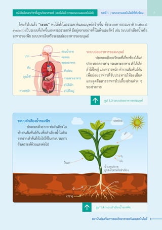 ระบบย่อยอาหารของมนุษย์
	 	 ประกอบด้วยอวัยวะที่เกี่ยวข้อง ได้แก่
ปาก หลอดอาหาร กระเพาะอาหาร ลำ�ไส้เล็ก
ลำ�ไส้ใหญ่ และทวารหนัก ทำ�งานสัมพันธ์กัน
เพื่อย่อยอาหารที่รับประทานให้ละเอียด     
และดูดซึมสารอาหารไปเลี้ยงส่วนต่าง ๆ     
ของร่างกาย
ระบบลำ�เลียงน้ำ�ของพืช
	 	 ประกอบด้วย ราก ท่อลำ�เลียง ใบ
ทำ�งานสัมพันธ์กัน เพื่อลำ�เลียงน้ำ�ในดิน
จากรากลำ�ต้นถึงใบไปใช้ในกระบวนการ
สังเคราะห์ด้วยแสงต่อไป
แสง
CO2
O2
น�้ำ
ใบแก่
น�้ำและแร่ธาตุ
ถูกส่งไปตามท่อล�ำเลียง
ยอดอ่อน
ราก
แร่ธาตุ
	 	 โดยทั่วไปแล้ว “ระบบ” พบได้ทั้งในธรรมชาติและมนุษย์สร้างขึ้น ซึ่งระบบทางธรรมชาติ (natural    
system) เป็นระบบที่เกิดขึ้นเองตามธรรมชาติ มีอยู่หลายอย่างทั้งในพืชและสัตว์ เช่น ระบบลำ�เลียงน้ำ�หรือ
อาหารของพืช ระบบหายใจหรือระบบย่อยอาหารของมนุษย์
รูป 1.3 ระบบย่อยอาหารของมนุษย์
รูป 1.4 ระบบลำ�เลียงน้ำ�ของพืช
ปาก
ต่อมน้ำ�ลาย
คอหอย
หลอดอาหาร
กระเพาะอาหาร
ลำ�ไส้เล็ก
ลำ�ไส้ใหญ่ทวารหนัก
ตับอ่อน
ถุงน้ำ�ดี
ตับ
บทที่ 1 | ระบบทางเทคโนโลยีที่ซับซ้อน 5หนังสือเรียนรายวิชาพื้นฐานวิทยาศาสตร์ | เทคโนโลยี (การออกแบบและเทคโนโลยี)
สถาบันส่งเสริมการสอนวิทยาศาสตร์และเทคโนโลยี
 