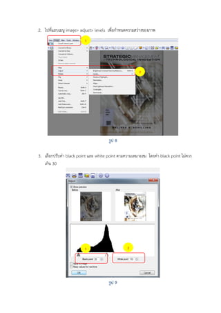 2. ไปที่แถบเมนู image> adjust> levels เพื่อกาหนดความสว่างของภาพ
1

2

รูป 8
3. เลือกปรับค่า black point และ white point ตามความเหมาะสม โดยค่า black point ไม่ควร
เกิน 30

2

1

รูป 9

 