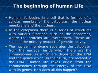 159159
The beginning of human LifeThe beginning of human Life
Human life begins in a cell that is formed of aHuman life begins in a cell that is formed of a
cellular membrane, the cytoplasm, the nuclearcellular membrane, the cytoplasm, the nuclear
membrane and the nucleus.membrane and the nucleus.
In the cytoplasm there is a series of structuresIn the cytoplasm there is a series of structures
with various functions such as the ribosomes,with various functions such as the ribosomes,
where the proteins are synthesised. These arewhere the proteins are synthesised. These are
seen as the primary product of genetic activity.seen as the primary product of genetic activity.
The nuclear membrane separates the cytoplasmThe nuclear membrane separates the cytoplasm
from the nucleus, inside which there are thefrom the nucleus, inside which there are the
chromosomes, in which are deposited the DNAchromosomes, in which are deposited the DNA
and the genes which, in their turn, are located inand the genes which, in their turn, are located in
the DNA. Human life takes origin from thethe DNA. Human life takes origin from the
chromosomes through the energy of the DNAchromosomes through the energy of the DNA
with its genes. How does all this happen?with its genes. How does all this happen?
 