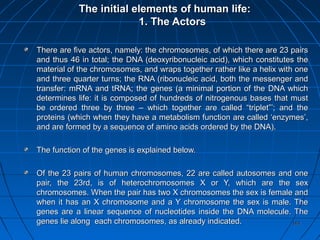 161161
The initial elements of human life:The initial elements of human life:
1. The Actors1. The Actors
There are five actors, namely: the chromosomes, of which there are 23 pairsThere are five actors, namely: the chromosomes, of which there are 23 pairs
and thus 46 in total; the DNA (deoxyribonucleic acid), which constitutes theand thus 46 in total; the DNA (deoxyribonucleic acid), which constitutes the
material of the chromosomes, and wraps together rather like a helix with onematerial of the chromosomes, and wraps together rather like a helix with one
and three quarter turns; the RNA (ribonucleic acid, both the messenger andand three quarter turns; the RNA (ribonucleic acid, both the messenger and
transfer: mRNA and tRNA; the genes (a minimal portion of the DNA whichtransfer: mRNA and tRNA; the genes (a minimal portion of the DNA which
determines life: it is composed of hundreds of nitrogenous bases that mustdetermines life: it is composed of hundreds of nitrogenous bases that must
be ordered three by three – which together are called “triplet”’; and thebe ordered three by three – which together are called “triplet”’; and the
proteins (which when they have a metabolism function are called ‘enzymes’,proteins (which when they have a metabolism function are called ‘enzymes’,
and are formed by a sequence of amino acids ordered by the DNA).and are formed by a sequence of amino acids ordered by the DNA).
The function of the genes is explained below.The function of the genes is explained below.
Of the 23 pairs of human chromosomes, 22 are called autosomes and oneOf the 23 pairs of human chromosomes, 22 are called autosomes and one
pair, the 23rd, is of heterochromosomes X or Y, which are the sexpair, the 23rd, is of heterochromosomes X or Y, which are the sex
chromosomes. When the pair has two X chromosomes the sex is female andchromosomes. When the pair has two X chromosomes the sex is female and
when it has an X chromosome and a Y chromosome the sex is male. Thewhen it has an X chromosome and a Y chromosome the sex is male. The
genes are a linear sequence of nucleotides inside the DNA molecule. Thegenes are a linear sequence of nucleotides inside the DNA molecule. The
genes lie along each chromosomes, as already indicated.genes lie along each chromosomes, as already indicated.
 