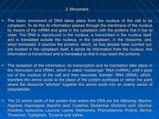 164164
2. Movement2. Movement
The basic movement of DNA takes place from the nucleus of the cell to itsThe basic movement of DNA takes place from the nucleus of the cell to its
cytoplasm. To do this its information passes through the membrane of the nucleuscytoplasm. To do this its information passes through the membrane of the nucleus
by means of the mRNA and goes in the cytoplasm with the proteins that it has toby means of the mRNA and goes in the cytoplasm with the proteins that it has to
order. The DNA is reproduced in the nucleus, is transcribed in the nucleus itself,order. The DNA is reproduced in the nucleus, is transcribed in the nucleus itself,
and is translated outside the nucleus, in the cytoplasm, in the ribosome, and,and is translated outside the nucleus, in the cytoplasm, in the ribosome, and,
when translated, it reaches the proteins, which, as has already been pointed out,when translated, it reaches the proteins, which, as has already been pointed out,
are located in the cytoplasm itself. It sends its information from the nucleus, thisare located in the cytoplasm itself. It sends its information from the nucleus, this
information is transcribed and is translated so that it may reach the proteins.information is transcribed and is translated so that it may reach the proteins.
The reception of the information, its transcription and its translation take place inThe reception of the information, its transcription and its translation take place in
the ribonucleic acid (RNA), which is called ‘messenger’ RNA (mRNA), until it goesthe ribonucleic acid (RNA), which is called ‘messenger’ RNA (mRNA), until it goes
out of the nucleus of the cell and then becomes ‘transfer’ RNA (tRNA), whichout of the nucleus of the cell and then becomes ‘transfer’ RNA (tRNA), which
transfers the amino acids to the place of the protein synthesis or rather the pointtransfers the amino acids to the place of the protein synthesis or rather the point
where the ribosome “stitches” together the amino acids into an orderly series ofwhere the ribosome “stitches” together the amino acids into an orderly series of
polypeptides.polypeptides.
The 20 amino acids of the protein that orders the DNA are the following: Alanine,The 20 amino acids of the protein that orders the DNA are the following: Alanine,
Arginine, Asparagine, Aspartic acid, Cysteine, Glutamine, Glutamic acid, Glycine,Arginine, Asparagine, Aspartic acid, Cysteine, Glutamine, Glutamic acid, Glycine,
Histidine, Isoleucine, Leucine, Lysine, Methionine, Phenylalanine, Proline, Serine,Histidine, Isoleucine, Leucine, Lysine, Methionine, Phenylalanine, Proline, Serine,
Threonine, Typtophan, Tyrosine and Valine.Threonine, Typtophan, Tyrosine and Valine.
 
