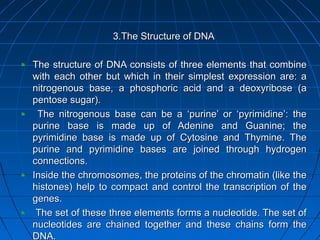 167167
3.The Structure of DNA3.The Structure of DNA
The structure of DNA consists of three elements that combineThe structure of DNA consists of three elements that combine
with each other but which in their simplest expression are: awith each other but which in their simplest expression are: a
nitrogenous base, a phosphoric acid and a deoxyribose (anitrogenous base, a phosphoric acid and a deoxyribose (a
pentose sugar).pentose sugar).
The nitrogenous base can be a ‘purine’ or ‘pyrimidine’: theThe nitrogenous base can be a ‘purine’ or ‘pyrimidine’: the
purine base is made up of Adenine and Guanine; thepurine base is made up of Adenine and Guanine; the
pyrimidine base is made up of Cytosine and Thymine. Thepyrimidine base is made up of Cytosine and Thymine. The
purine and pyrimidine bases are joined through hydrogenpurine and pyrimidine bases are joined through hydrogen
connections.connections.
Inside the chromosomes, the proteins of the chromatin (like theInside the chromosomes, the proteins of the chromatin (like the
histones) help to compact and control the transcription of thehistones) help to compact and control the transcription of the
genes.genes.
The set of these three elements forms a nucleotide. The set ofThe set of these three elements forms a nucleotide. The set of
nucleotides are chained together and these chains form thenucleotides are chained together and these chains form the
DNA.DNA.
 