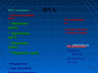 168168
DNADNA structureDNA structure
+ Purine and pyrimidinePurine and pyrimidine
bases:bases:
* Adenine* Adenine
(pur)(pur)
* Cytosine* Cytosine
(pri)(pri)
* Guanine* Guanine
(pur)(pur)
* Thymine (pri)* Thymine (pri)
+ Phosphoric acid+ Phosphoric acid
+ Sugar (deoxyribose)+ Sugar (deoxyribose)
The combinationsThe combinations
are:are:
+ Adenine-Thymine+ Adenine-Thymine
+ Cytosine-Guanine+ Cytosine-Guanine
HISTONASHistones:Histones:
Proteins associated with
the DNA in
the nucleus of
the cell.
 