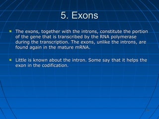 174174
5. Exons5. Exons
The exons, together with the introns, constitute the portionThe exons, together with the introns, constitute the portion
of the gene that is transcribed by the RNA polymeraseof the gene that is transcribed by the RNA polymerase
during the transcription. The exons, unlike the introns, areduring the transcription. The exons, unlike the introns, are
found again in the mature mRNA.found again in the mature mRNA.
Little is known about the intron. Some say that it helps theLittle is known about the intron. Some say that it helps the
exon in the codification.exon in the codification.
 