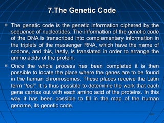 180180
7.7.The Genetic CodeThe Genetic Code
The genetic code is the genetic information ciphered by theThe genetic code is the genetic information ciphered by the
sequence of nucleotides. The information of the genetic codesequence of nucleotides. The information of the genetic code
of the DNA is transcribed into complementary information inof the DNA is transcribed into complementary information in
the triplets of the messenger RNA, which have the name ofthe triplets of the messenger RNA, which have the name of
codons, and this, lastly, is translated in order to arrange thecodons, and this, lastly, is translated in order to arrange the
amino acids of the protein.amino acids of the protein.
Once the whole process has been completed it is thenOnce the whole process has been completed it is then
possible topossible to locatelocate the place where the genes are to be foundthe place where the genes are to be found
in the human chromosomes. These places receive the Latinin the human chromosomes. These places receive the Latin
term “term “loci”loci”. It is thus possible to determine the work that each. It is thus possible to determine the work that each
gene carries out with each amino acid of the proteins. In thisgene carries out with each amino acid of the proteins. In this
way it has been possible to fill in the map of the humanway it has been possible to fill in the map of the human
genome, its genetic code.genome, its genetic code.
 