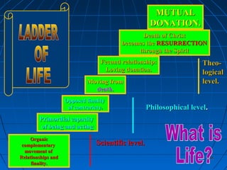 238238
OrganicOrganic
complementarycomplementary
movement ofmovement of
Relationships andRelationships and
finalityfinality..
Primordial capacityPrimordial capacity
of being and actingof being and acting
Opposed finalityOpposed finality
of contrarietyof contrariety..
Moving fromMoving from
deathdeath..
Fecund relationship:Fecund relationship:
Loving donation.Loving donation.
Death of ChristDeath of Christ
becomes thebecomes the RESURRECTIONRESURRECTION
through the Spiritthrough the Spirit
MUTUALMUTUAL
DONATION.DONATION.
Scientific levelScientific level..
Philosophical levelPhilosophical level..
Theo-Theo-
logicallogical
level.level.
 
