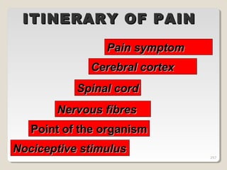 257257
ITINERARY OF PAINITINERARY OF PAIN
Nociceptive stimulusNociceptive stimulus
Nervous fibresNervous fibres
Spinal cordSpinal cord
Cerebral cortexCerebral cortex
Pain symptomPain symptom
Point of the organismPoint of the organism
257
 