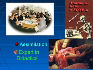 500500500
AssimilationAssimilation
Expert in
Didactics
 