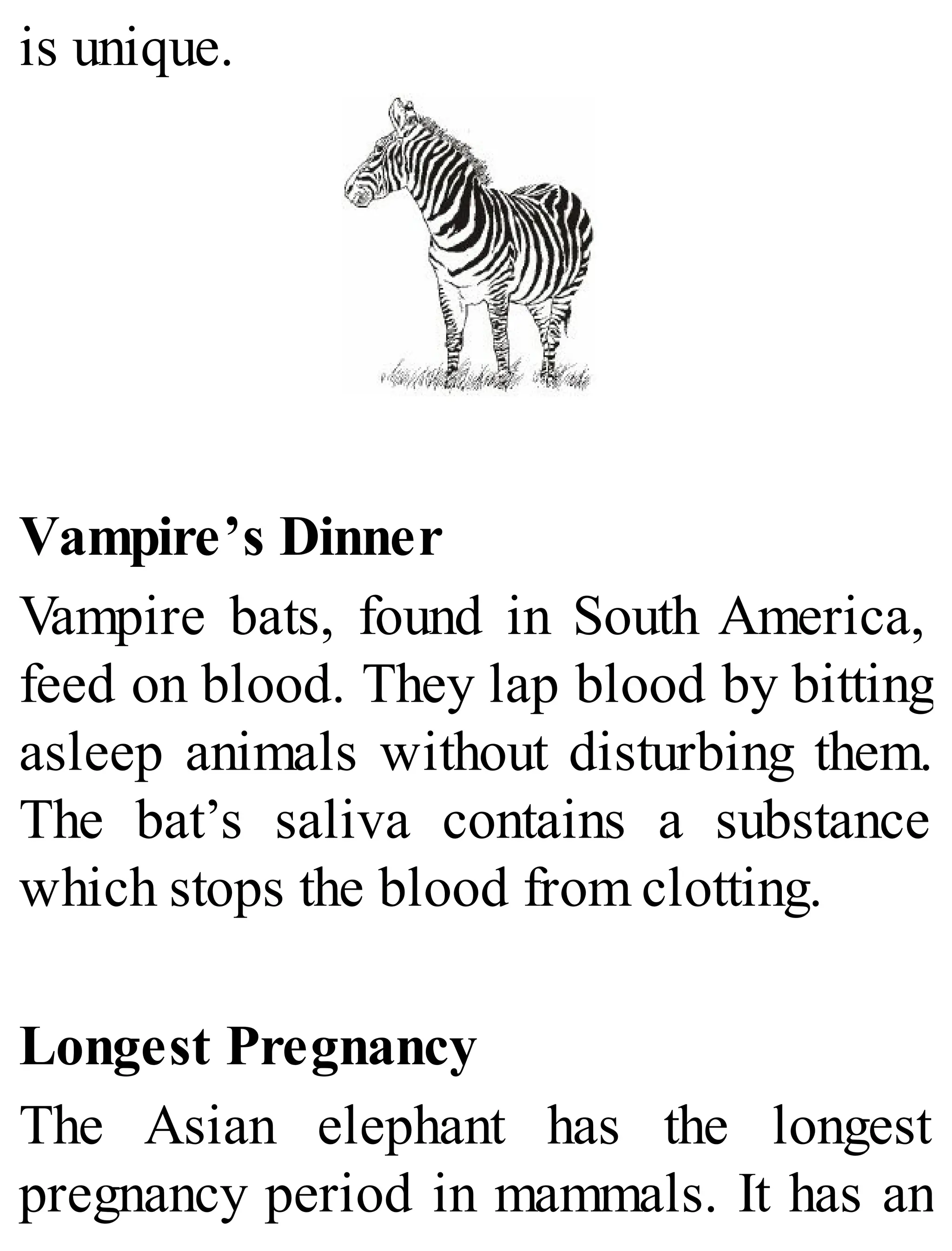 is unique.
Vampire’s Dinner
Vampire bats, found in South America,
feed on blood. They lap blood by bitting
asleep animals without disturbing them.
The bat’s saliva contains a substance
which stops the blood from clotting.
Longest Pregnancy
The Asian elephant has the longest
pregnancy period in mammals. It has an
 