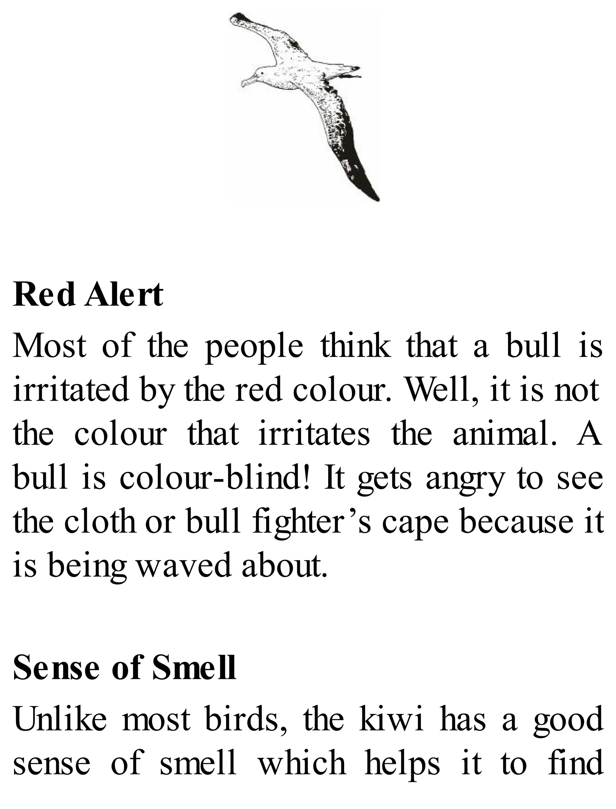 Red Alert
Most of the people think that a bull is
irritated by the red colour. Well, it is not
the colour that irritates the animal. A
bull is colour-blind! It gets angry to see
the cloth or bull fighter’s cape because it
is being waved about.
Sense of Smell
Unlike most birds, the kiwi has a good
sense of smell which helps it to find
 