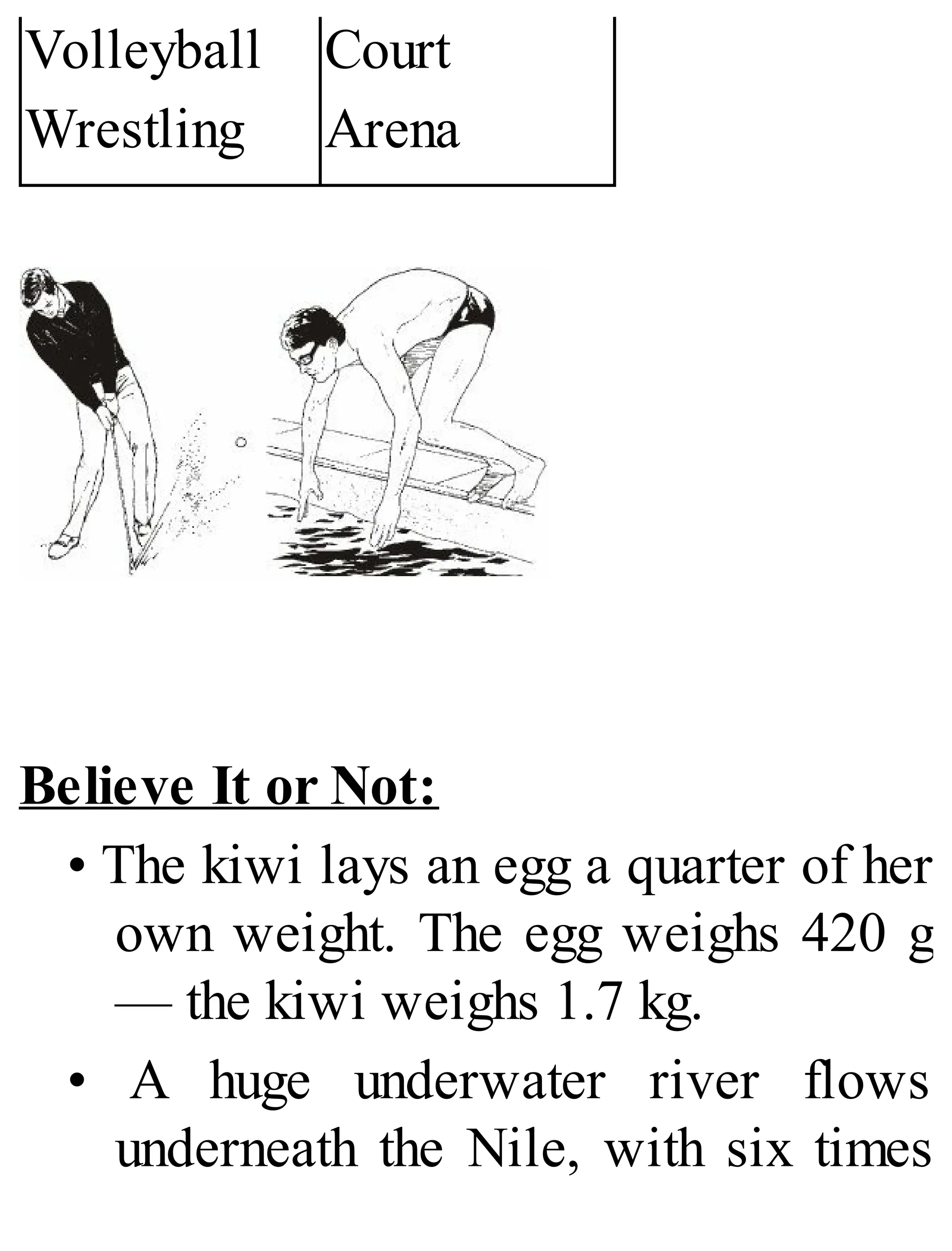 Volleyball
Wrestling
Court
Arena
Believe It or Not:
• The kiwi lays an egg a quarter of her
own weight. The egg weighs 420 g
— the kiwi weighs 1.7 kg.
• A huge underwater river flows
underneath the Nile, with six times
 