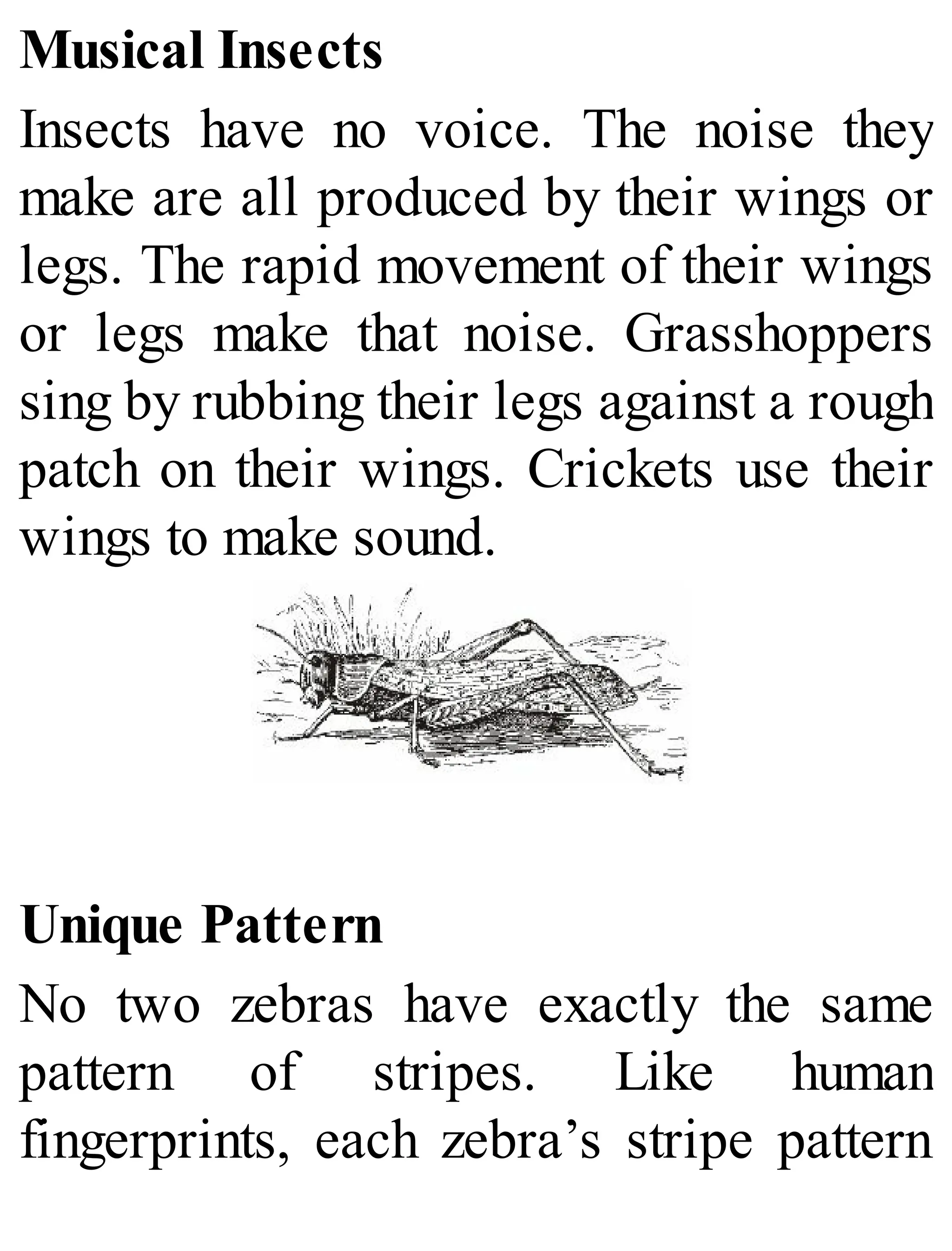 Musical Insects
Insects have no voice. The noise they
make are all produced by their wings or
legs. The rapid movement of their wings
or legs make that noise. Grasshoppers
sing by rubbing their legs against a rough
patch on their wings. Crickets use their
wings to make sound.
Unique Pattern
No two zebras have exactly the same
pattern of stripes. Like human
fingerprints, each zebra’s stripe pattern
 
