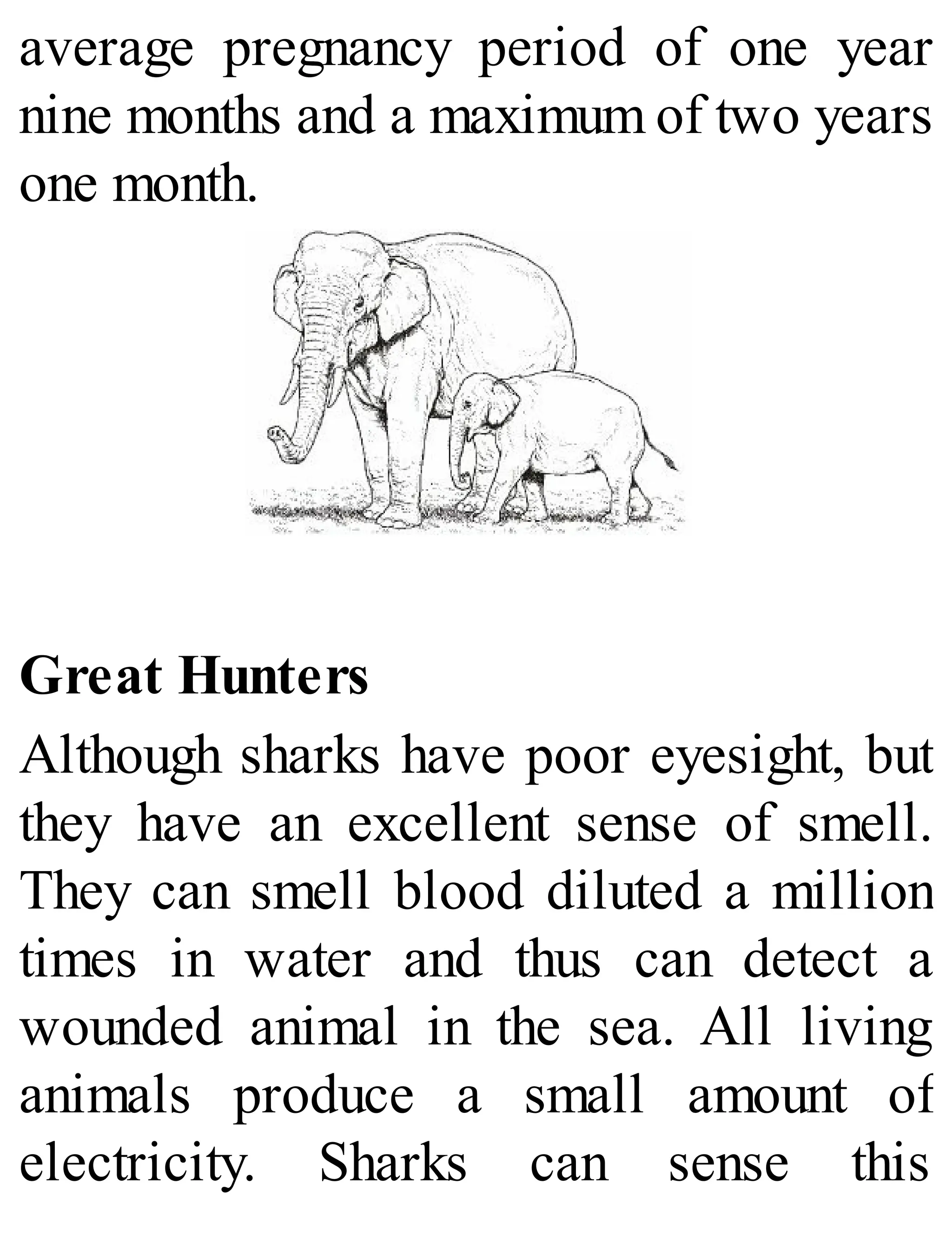 average pregnancy period of one year
nine months and a maximum of two years
one month.
Great Hunters
Although sharks have poor eyesight, but
they have an excellent sense of smell.
They can smell blood diluted a million
times in water and thus can detect a
wounded animal in the sea. All living
animals produce a small amount of
electricity. Sharks can sense this
 