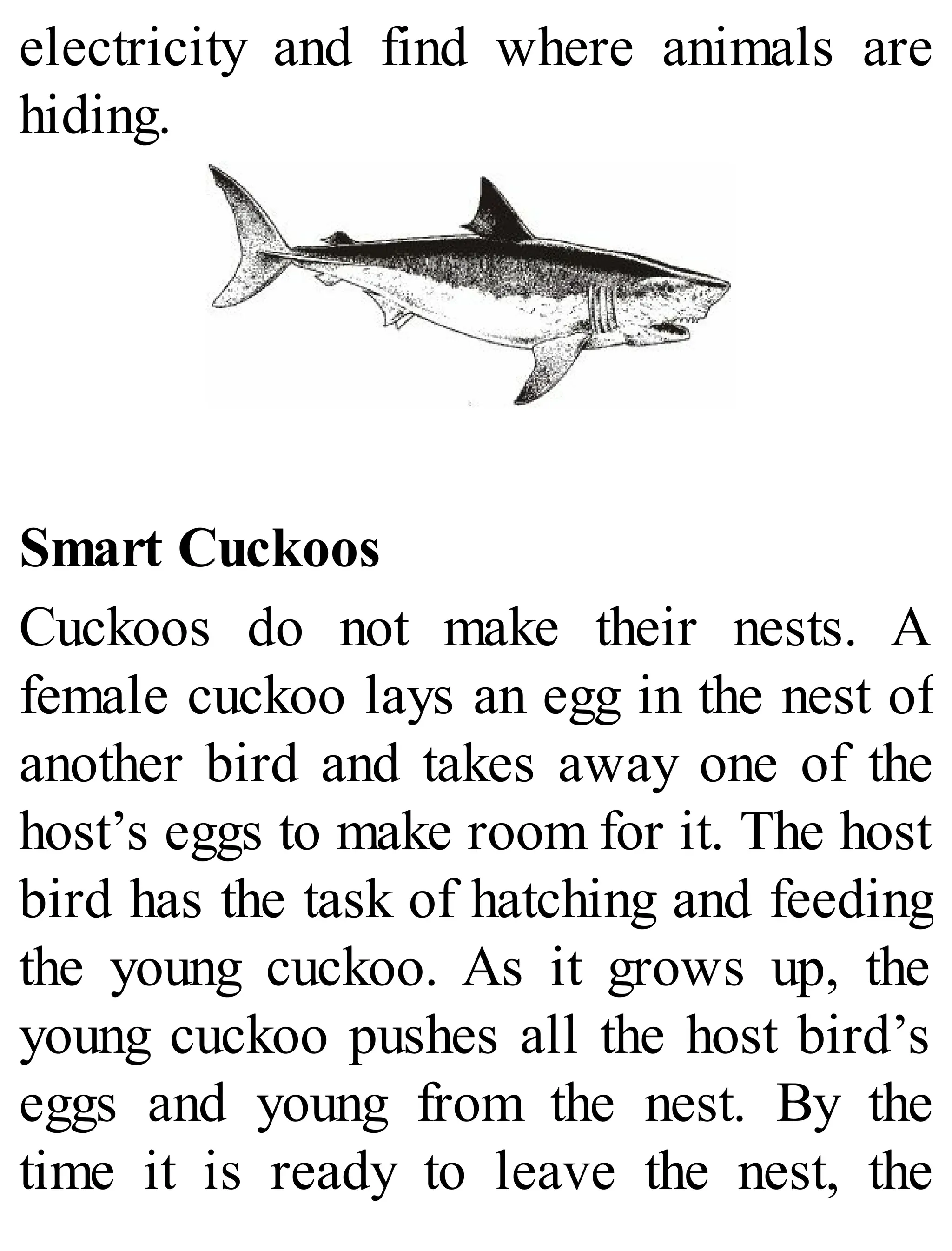 electricity and find where animals are
hiding.
Smart Cuckoos
Cuckoos do not make their nests. A
female cuckoo lays an egg in the nest of
another bird and takes away one of the
host’s eggs to make room for it. The host
bird has the task of hatching and feeding
the young cuckoo. As it grows up, the
young cuckoo pushes all the host bird’s
eggs and young from the nest. By the
time it is ready to leave the nest, the
 