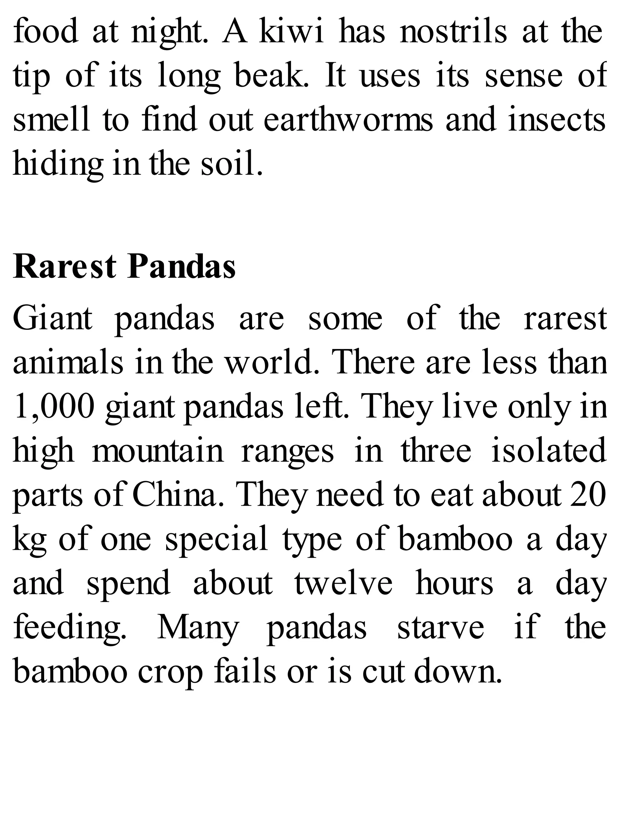 food at night. A kiwi has nostrils at the
tip of its long beak. It uses its sense of
smell to find out earthworms and insects
hiding in the soil.
Rarest Pandas
Giant pandas are some of the rarest
animals in the world. There are less than
1,000 giant pandas left. They live only in
high mountain ranges in three isolated
parts of China. They need to eat about 20
kg of one special type of bamboo a day
and spend about twelve hours a day
feeding. Many pandas starve if the
bamboo crop fails or is cut down.
 