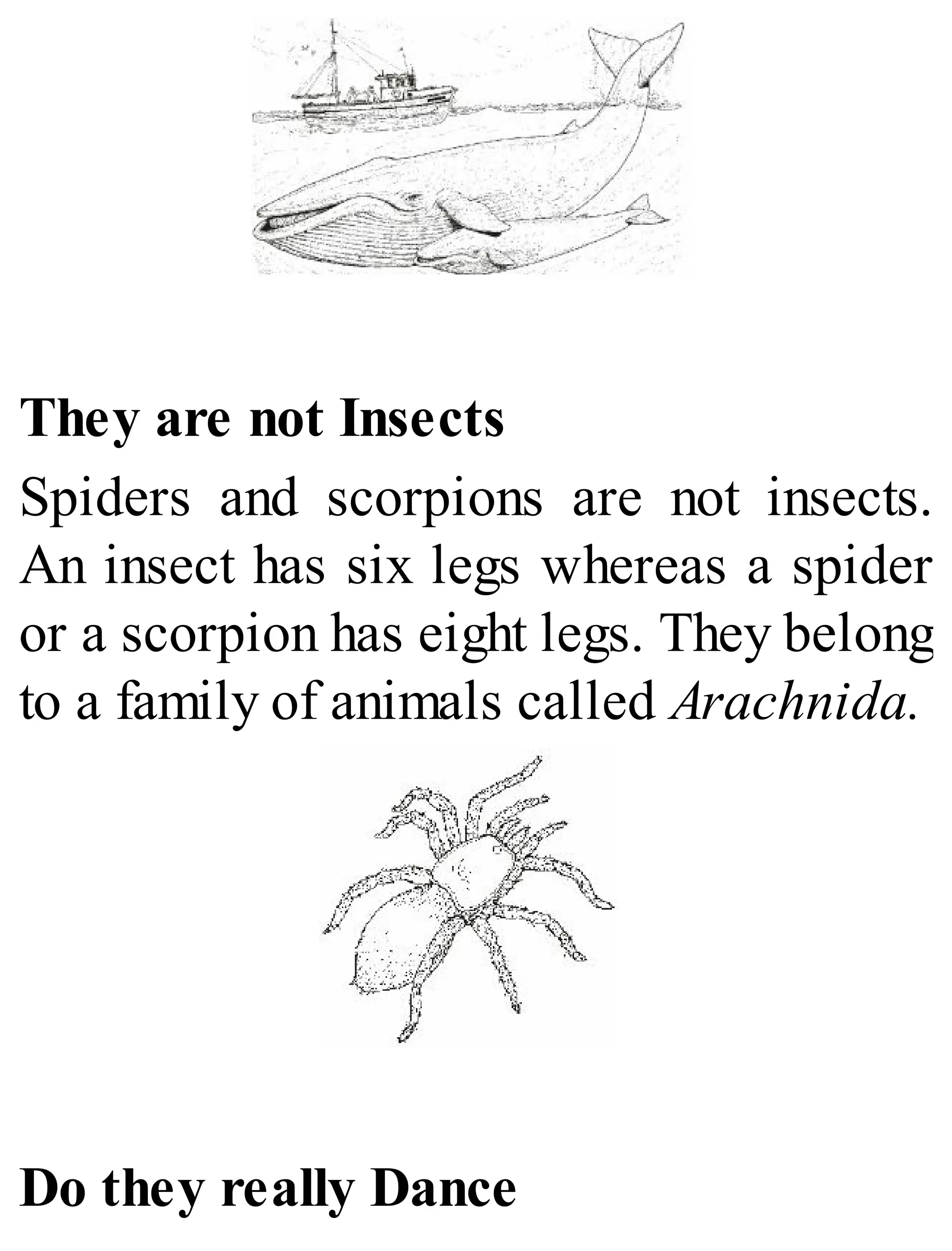 They are not Insects
Spiders and scorpions are not insects.
An insect has six legs whereas a spider
or a scorpion has eight legs. They belong
to a family of animals called Arachnida.
Do they really Dance
 