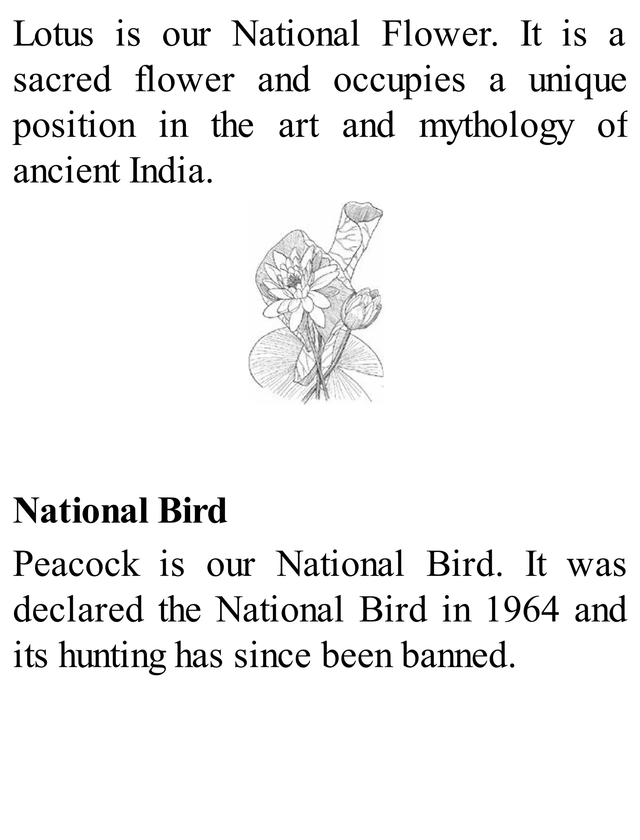 Lotus is our National Flower. It is a
sacred flower and occupies a unique
position in the art and mythology of
ancient India.
National Bird
Peacock is our National Bird. It was
declared the National Bird in 1964 and
its hunting has since been banned.
 