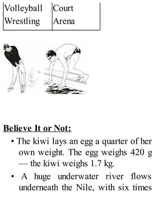 Volleyball
Wrestling
Court
Arena
Believe It or Not:
• The kiwi lays an egg a quarter of her
own weight. The egg weighs 420 g
— the kiwi weighs 1.7 kg.
• A huge underwater river flows
underneath the Nile, with six times
 