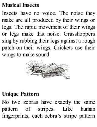 Musical Insects
Insects have no voice. The noise they
make are all produced by their wings or
legs. The rapid movement of their wings
or legs make that noise. Grasshoppers
sing by rubbing their legs against a rough
patch on their wings. Crickets use their
wings to make sound.
Unique Pattern
No two zebras have exactly the same
pattern of stripes. Like human
fingerprints, each zebra’s stripe pattern
 