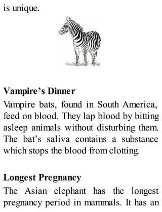 is unique.
Vampire’s Dinner
Vampire bats, found in South America,
feed on blood. They lap blood by bitting
asleep animals without disturbing them.
The bat’s saliva contains a substance
which stops the blood from clotting.
Longest Pregnancy
The Asian elephant has the longest
pregnancy period in mammals. It has an
 