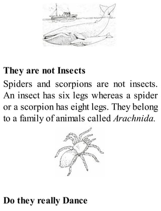 They are not Insects
Spiders and scorpions are not insects.
An insect has six legs whereas a spider
or a scorpion has eight legs. They belong
to a family of animals called Arachnida.
Do they really Dance
 