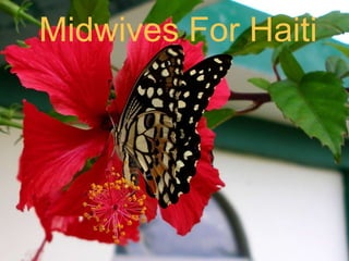 Midwives For Haiti
 