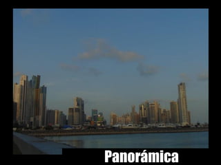 Panorámica
 