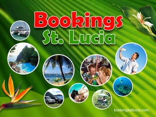 bookingsstlucia.com 