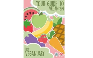 Veganuary Booklet