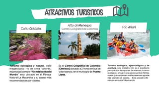 Alto deMenegua
Centro GeográﬁcodeColombiaCaño Cristales Río Ariari
ATRACTIVOS TURÍSTICOS
Turismo ecológico y natural, este
magestuoso río de siete colores,
reconocidocomoel“Ríomásbonitodel
Mundo” está ubicado en el Parque
Natural La Macarena y su acceso más
recomendadoesporvíaárea.
Es el Centro Geográﬁco de Colombia
[Obelisco] ubicado a 2 horas en bus de
Villavicencio, en el municipio de Puerto
López.
Turismo ecológico, agroecológico y de
aventura, este cristalino río es el predilecto
para práctica de deportes de aventura, turismo
ecológicoy ensusriveras seencuentran fértiles
suelos queconforman una las reservas agrarias
más grandes el planeta. Está ubicado a90
minutos enbusdeVillavicencio.
 