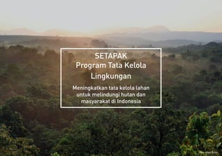 Foto: Rhett Butler
SETAPAK
Program Tata Kelola
Lingkungan
Meningkatkan tata kelola lahan
untuk melindungi hutan dan
masyarakat di Indonesia
 