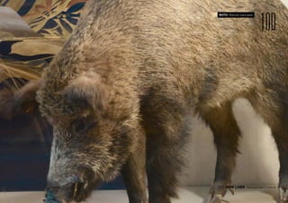 100
2015 FOM LABS Невидимая Страна
ФОТО: Максим Шингирей
 