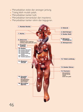 �   Menyebabkan stoke dan serangan jantung.
�   Tulang lebih mudah patah.
�   Menyebabkan kanker kulit.
�   Menyebabkan kemandulan dan impotensi.
�   Menyebabkan kanker rahim dan keguguran.




46
 