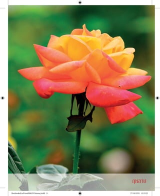 ๑๑
มรรคมีองค ๘ เสนทางครูแท ¡ØËÅÒº
BookmakaForPress09062555amnaj.indd 11 27/10/2555 12:23:22
 