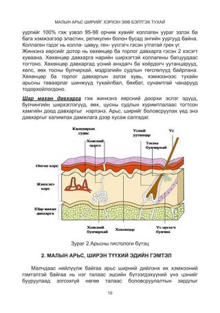 Малын арьс ширийг хэрхэн зөв бэлтгэх тухай/Preparation standard of ...