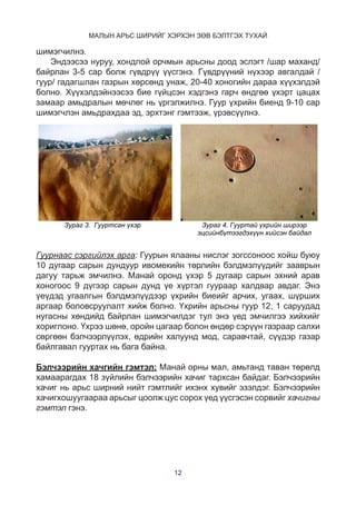 Малын арьс ширийг хэрхэн зөв бэлтгэх тухай/Preparation standard of ...