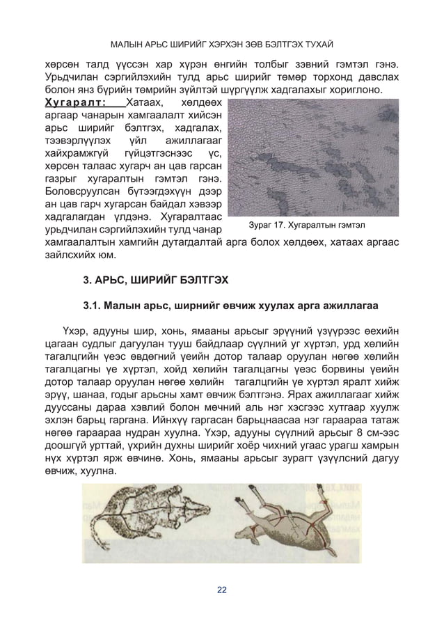 Малын арьс ширийг хэрхэн зөв бэлтгэх тухай/Preparation standard of ...