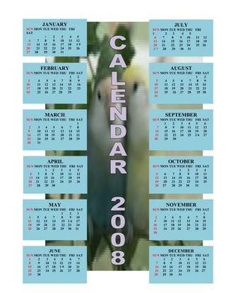 JANUARY                               JULY
SUN SUN MON TUE WED THU FRI SA
    MON TUE WED THU FRI             SUN MON TUE WED THU    FRI
SAT                                 1       2  3   4   5
          1   2   3    4 5            6   7   8  9   10    11    12
 6    7   8   9  10   11 12         13   14   15 16 17     18    19
13    14 15  16  17 18   19         20   21   22 23 24     25    26
20    21 22  23  24 25   26         27    28  29 30 31
27   28  29  30  31




       FEBRUARY                             AUGUST
SUN MON TUE WED THU FRI       SAT   SUN MON TUE WED THU FRI      SAT
                     1         2                         1        2
 3    4   5  6   7   8         9      3   4   5   6   7  8        9
10   11 12 13 14    15        16     10  11 12   13  14 15       16
17   18 19 20 21    22        23     17  18 19   20  21 22       23
24   25 26 27 28    29               24  25   26 27 28   29      30
                                     31




         MARCH                            SEPTEMBER
SUN MON TUE WED THU FRI SAT         SUN MON TUE WED THU    FRI   SAT
                        1                1    2   3  4      5     6
 2    3  4   5    6  7  8             7   8   9  10 11     12    13
 9   10 11 12    13 14 15            14  15 16   17 18     19    20
16   17 18 19    20 21 22            21  22   23 24 25     26    27
23   24 25 26    27 28 29            28  29   30
30   31




          APRIL                            OCTOBER
SUN MON TUE WED THU     FRI   SAT   SUN MON TUE WED THU    FRI   SAT
         1  2    3     4      5                  1    2     3     4
  6  7   8  9   10     11     12      5   6   7  8    9    10    11
 13 14  15 16   17     18     19     12  13  14 15   16    17    18
 20 21  22 23   24     25     26     19  20  21 22   23    24    25
 27 28   29 30                       26 27   28 29 30      31




           MAY                            NOVEMBER
SUN MON TUE WED THU     FRI SAT     SUN MON TUE WED THU FRI SAT
                  1     2   3                               1
 4   5   6   7    8     9   10       2    3  4   5    6  7  8
 11  12 13  14    15   1 6 17        9   10 11 12    13 14 15
 18  19 20  21    22   23   24      16   17 18 19    20 21 22
 25  26 27  28   29    30 31        23   24 25 26    27 28 29
                                    30




           JUNE                            DECEMBER
SUN MON TUE WED THU     FRI   SAT   SUN MON TUE WED THU    FRI SAT
 1    2   3  4   5      6      7         1   2   3    4     5  6
 8    9  10 11 12      13     14      7  8  9   10   11    12 13
 15  16  17 18 1 9     20     21     14 15 16   17   18    19 20
 22  23  24 25 26      27     28     21 22 23   24   25    26 27
 29  30                              28  29 30  31
 