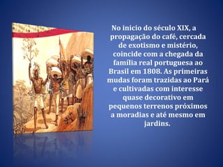 No inicio do século XIX, a propagação do café, cercada de exotismo e mistério, coincide com a chegada da família real portuguesa ao Brasil em 1808. As primeiras mudas foram trazidas ao Pará e cultivadas com interesse quase decorativo em pequenos terrenos próximos a moradias e até mesmo em jardins.  