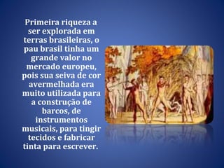 Primeira riqueza a ser explorada em terras brasileiras, o pau brasil tinha um grande valor no mercado europeu, pois sua seiva de cor avermelhada era muito utilizada para a construção de barcos, de instrumentos musicais, para tingir tecidos e fabricar tinta para escrever.  