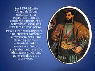 Em 1530, Martin Afonso de Souza organiza  uma expedição a fim de colonizar e proteger as terras brasileiras dos invasores estrangeiros.  Piratas franceses, ingleses e holandeses  invadiam o território brasileiro afim de praticar a retirada ilegal de madeira, além de contrabandear aves de plumagens coloridas, peles e índios para escravizar.  
