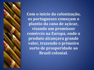 Com o inicio da colonização, os portugueses começam o plantio da cana de açúcar, visando um promissor comércio na Europa, onde o produto alcançava grande valor, trazendo o primeiro surto de prosperidade ao Brasil colonial. 