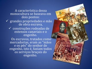 A característica dessa monocultura se baseava em dois pontos: grandes propriedades e mão de obra escrava, construções rodeadas de extensos canaviais e o engenho.  Os escravos, tratados como mercadorias, eram as "mãos e os pés" do senhor de engenho, isto é, faziam todos os serviços braçais do engenho.  