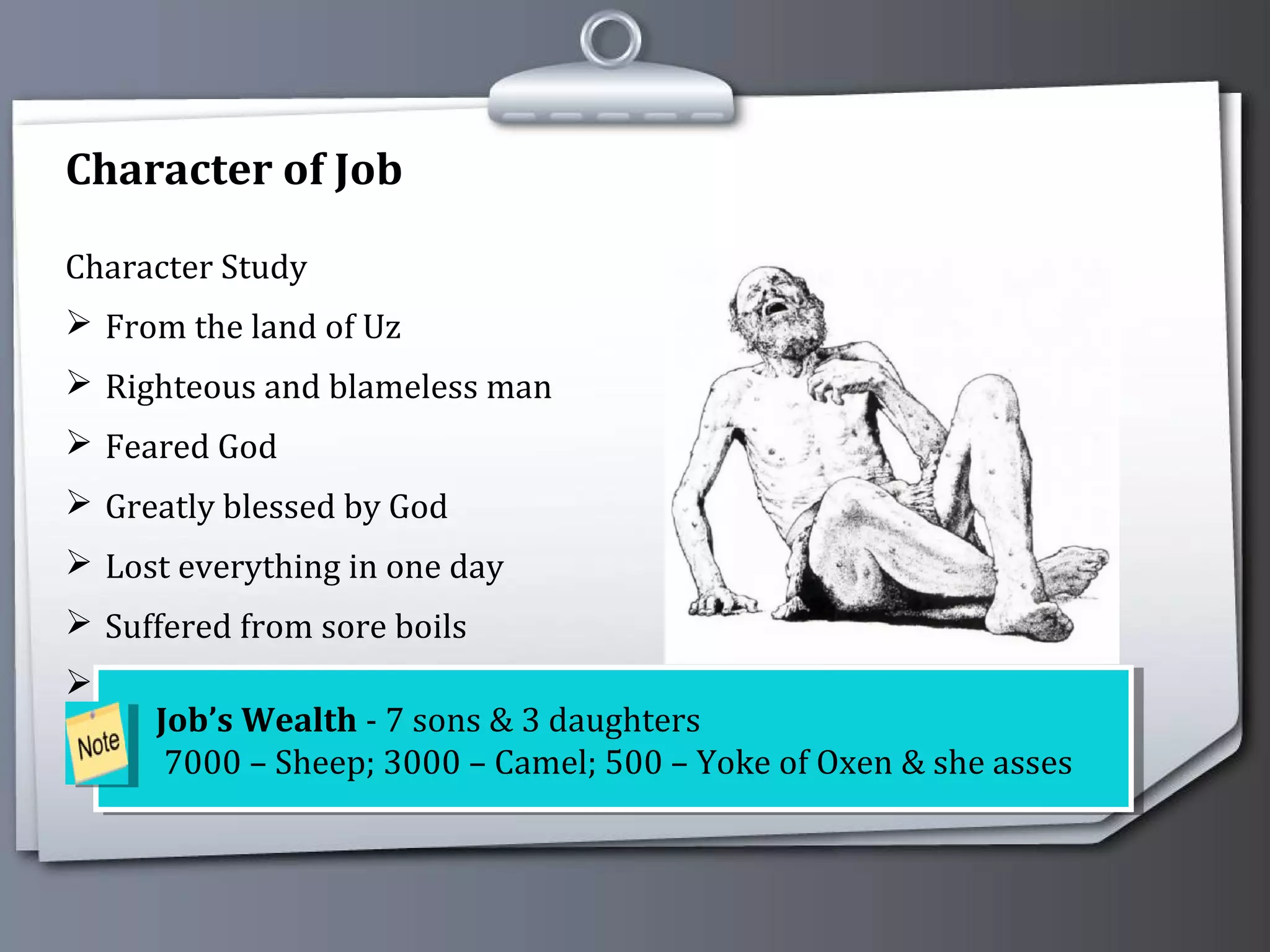 Book of Job - Biblical Literature | PPS